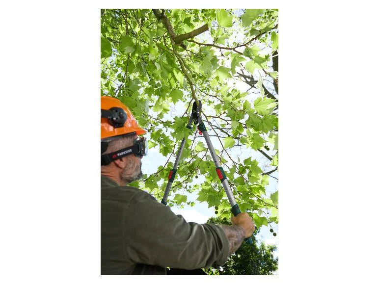 Casco forestal